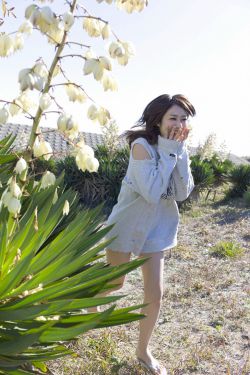 甜蜜蜜电视剧